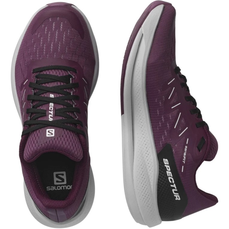 Salomon Spectur Women's Running Shoes Purple | CA 26A95
